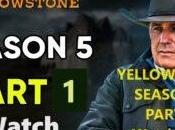 Yellowstone Watch 2024 Final Date Time Episodes Release Check