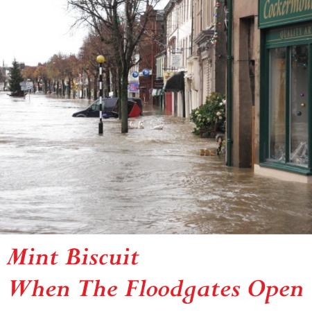 Mint Biscuit: When The Floodgates Open