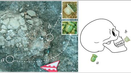 Stone Age facial piercings found on the skulls of porters in Turkey, in an archaeological first