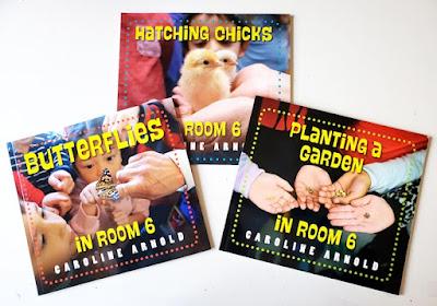 ROOM 6 BOOKS--Hatching Chicks, Butterflies, Planting a Garden--NOW AVAILABLE IN PAPERBACK!