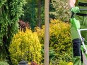 Garden Services That Value Your Property