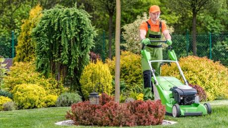 Top 5 Garden Services That Add Value To Your Property