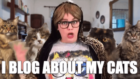 a funny meme about how to start a blog and earn money by talking about cats on your blog