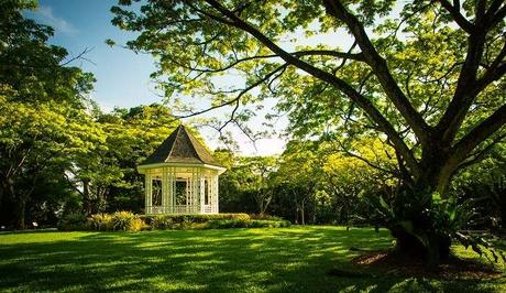 Enjoy the tranquility of the Botanical Garden