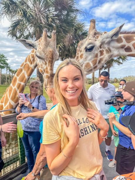 How much does a DIY trip to Orlando cost for a family of four?, giraffe hand feeding Busch gardens,