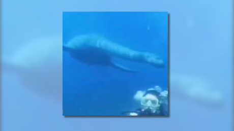 Video clip in which a diver swims with a dinosaur.  Color us skeptical