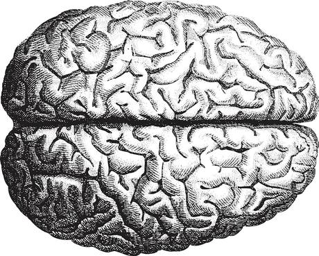 Your brain can reveal whether you’re right-wing – and three other things it tells us about your politics