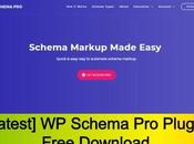 Schema Plugin Free Download [v2.7.17]