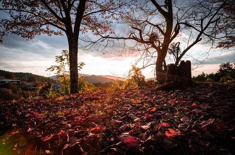 Yoshino - Mount Yoshino