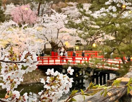 Hirosaki - Hirosaki Castle Park