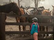 Horse Riding Lessons Beneficial Young Children