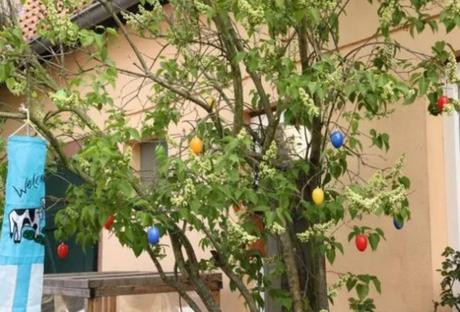 (Ostereierbaum) Easter Tree