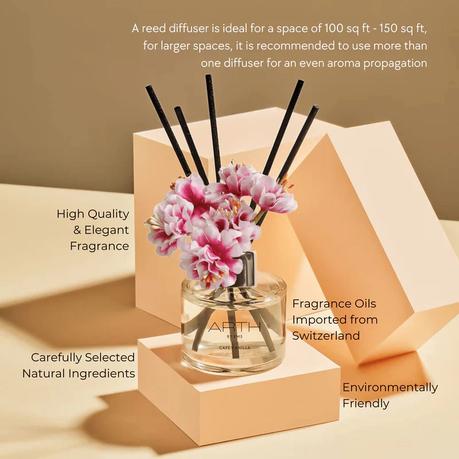 Avoid These Mistakes to Stop Affecting the Outcomes of Reed Diffusers