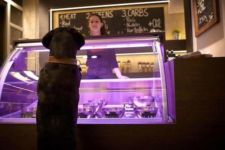 Germany's 1st Restaurant for DOGS Serves Dishes Fit for Humans!
