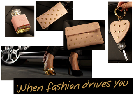 citroen ds3 fab accessories