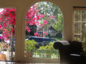 Straight Line Thinking Maybe