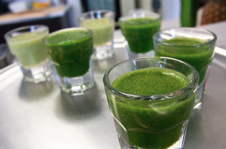 wheatgrass