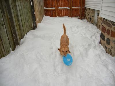 Backyard Blizzard Fun