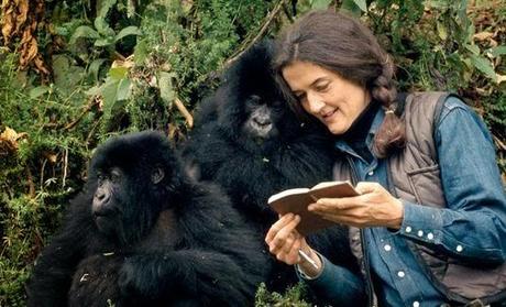 Google doodle remembering Dian Fossey - Digit Gorilla fund