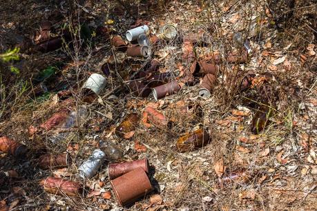 cans littering dargile forest