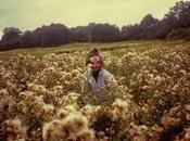 Wilkinson "Too Close" (Catching Flies Remix)