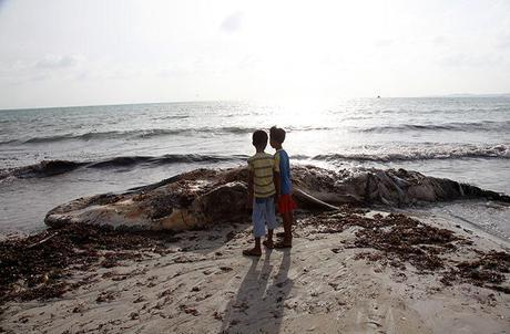  Bintan Island, Indonesia: Two boys look at a dead whale washed up on the shore. The beaching of the unidentified species is relatively rare on the Island shore that borders Singapore and Malaysia. Photograph: Yuli Seperi/Getty Images 