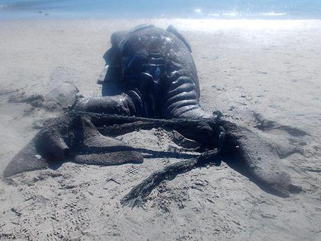  Baja Peninsula, Mexico: Conjoined gray whale calves lie dead on a beach inside the Ojo de Liebre lagoon near the town of Guerrero Negro. Government officials said fishermen found the calves joined at the waist with two full heads and tail fins. The image was released by Mexico's national natural protected areas commission. Photograph: AP 