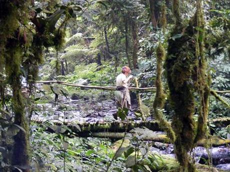 Nkuringo walking Safari Bwindi Uganda