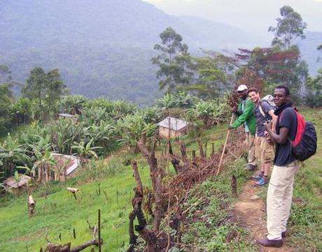 Nkuringo walking Safari Bwindi Uganda