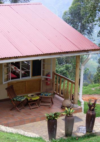 Verandah Terrace rooms at Nkuringo Gorilla Camp