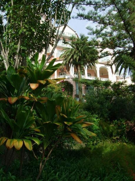 Madeira Series: Reid's Palace Hotel