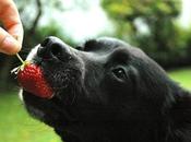 Feeding Right Important