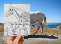 Ben Heine Art - Pencil Vs Camera - Drawing Vs Photography