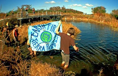 Everglades EF!ers enter a gator infested swamp under the noses of cops and security to expose the evils of FPL