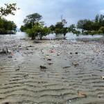 Low tide near fishing village