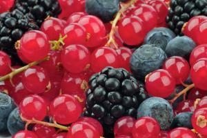 low-carb-fruit-berries