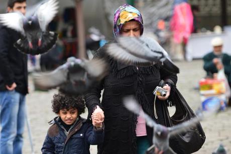 bosporus-birds-artborghi-8