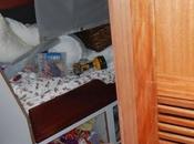 Beast Mess…… Pretty Hatches