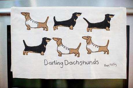 darling-dachsund