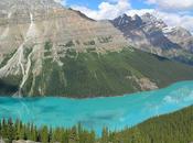 FlightNetwork Travel Stories