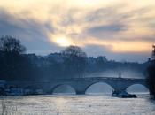 Well? Defeat #BlueMonday? Here's