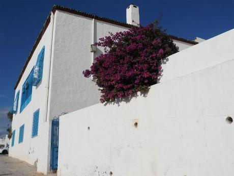 PC300295 シディ・ブ・サイド   白と青の小さな楽園 / Sidi Bou Said   petit paradis blanc et bleu