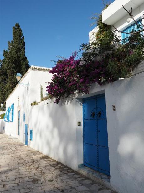PC300292 シディ・ブ・サイド   白と青の小さな楽園 / Sidi Bou Said   petit paradis blanc et bleu