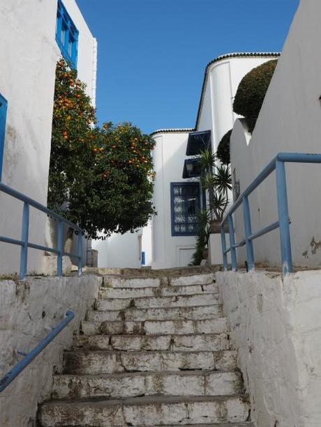 PC300309 シディ・ブ・サイド   白と青の小さな楽園 / Sidi Bou Said   petit paradis blanc et bleu