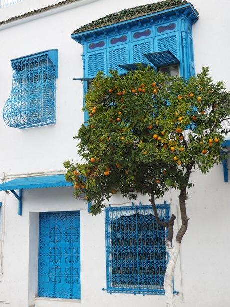 PC300198 シディ・ブ・サイド   白と青の小さな楽園 / Sidi Bou Said   petit paradis blanc et bleu