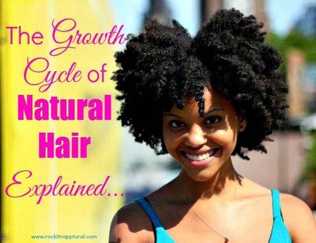 Breaking Down the Growth Cycle of Natural Hair