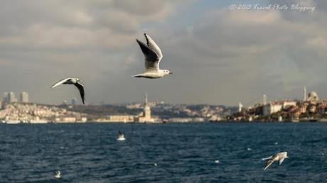 Views of Istanbul from a ferry