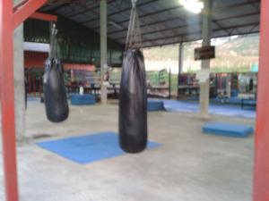 Tiger MT Beginner's Area. (The mats are up for cleaning to prevent Staph outbreaks.)