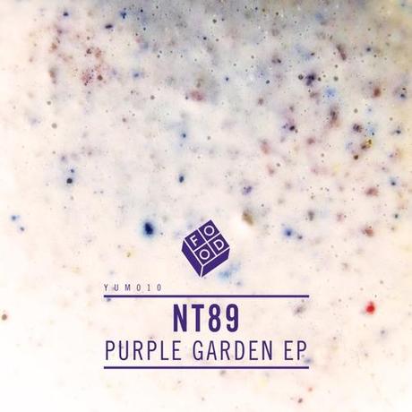 New EP out now from NT89 on Shadow Child's Food Music label