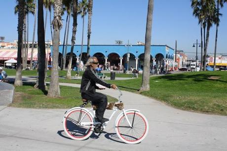 venice beach california nzmuse